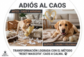Del caos a la calma. Método Anti Ansiedad Canina (en 7 días) -  Técnicas y consejos probados + contenido práctico para imprimir